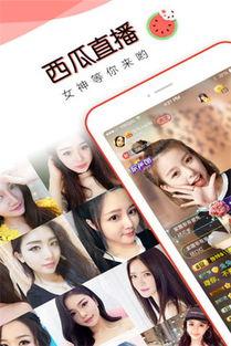 吃瓜直播免费下载,揭秘吃瓜直播免费下载背后的秘密  第1张 吃瓜直播免费下载,揭秘吃瓜直播免费下载背后的秘密  第1张
