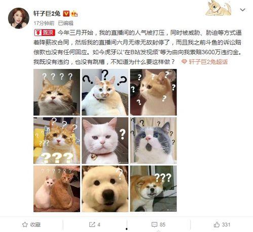 兔子爆料的视频,幕后真相大曝光  第1张 兔子爆料的视频,幕后真相大曝光  第1张