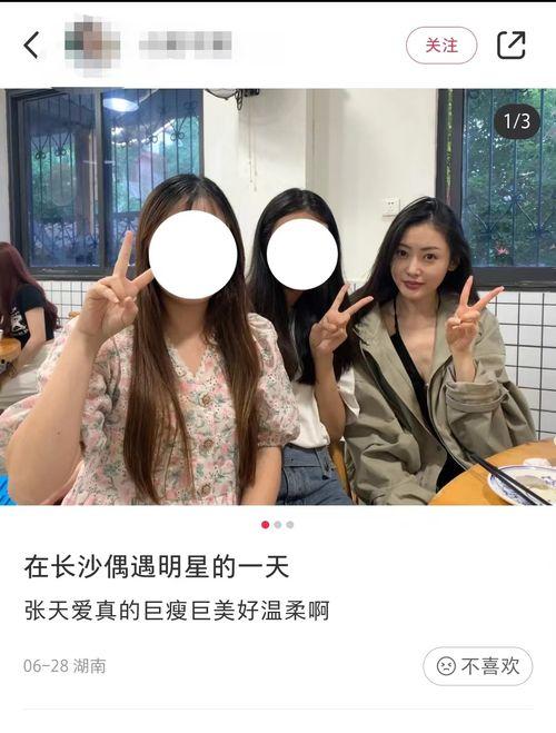 浪姐最新爆料视频大全下载,精彩瞬间回顾,揭秘幕后故事