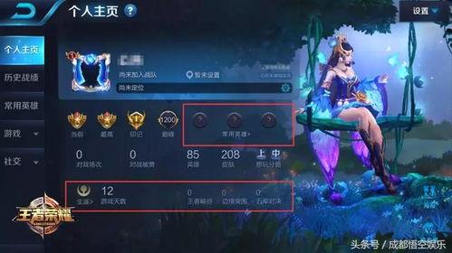 怎么找王者最新爆料,王者最新爆料,探寻游戏更新动向