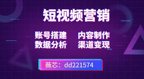 创业短视频热点爆料咨询,爆款内容背后的秘密与策略  第2张 创业短视频热点爆料咨询,爆款内容背后的秘密与策略  第2张