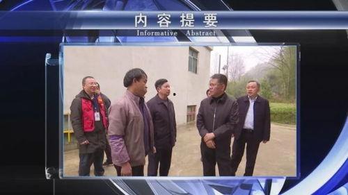 惠水新闻爆料,揭秘当地热点事件背后的真相  第2张 惠水新闻爆料,揭秘当地热点事件背后的真相  第2张