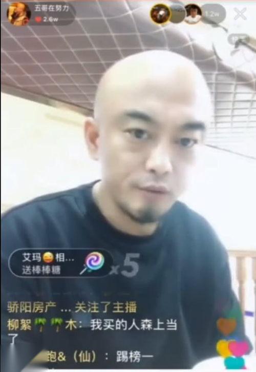 沈阳爆料主播事件最新进展,真相逐步浮出水面,法律程序加速推进